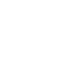 Codethreat logo