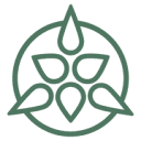 Lycaste AI logo