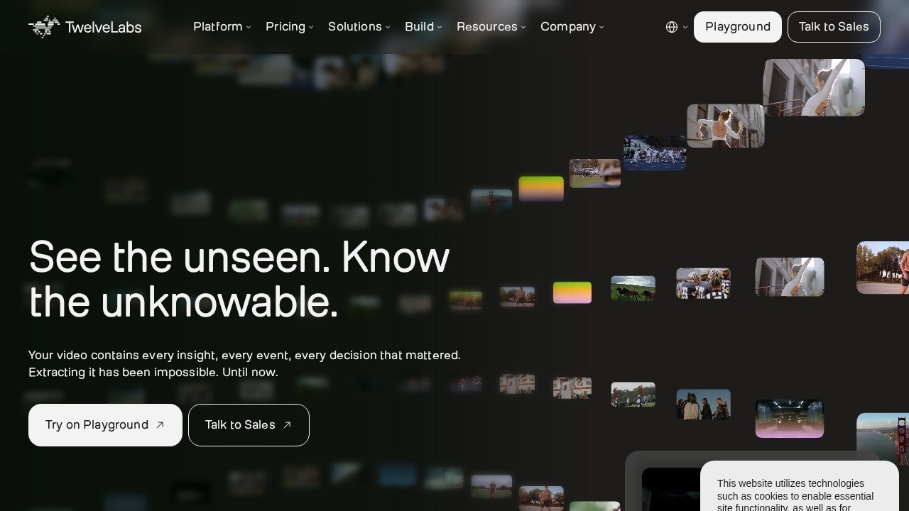Twelvelabs screenshot