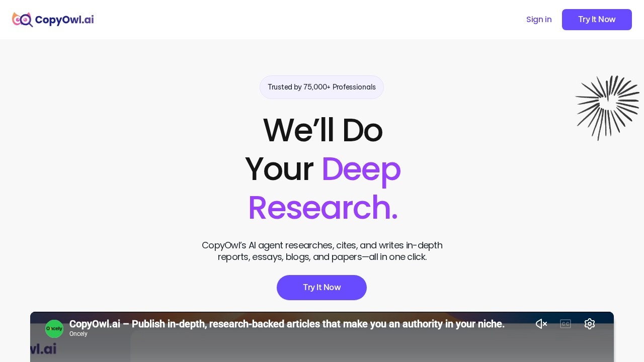 Copyowl AI screenshot