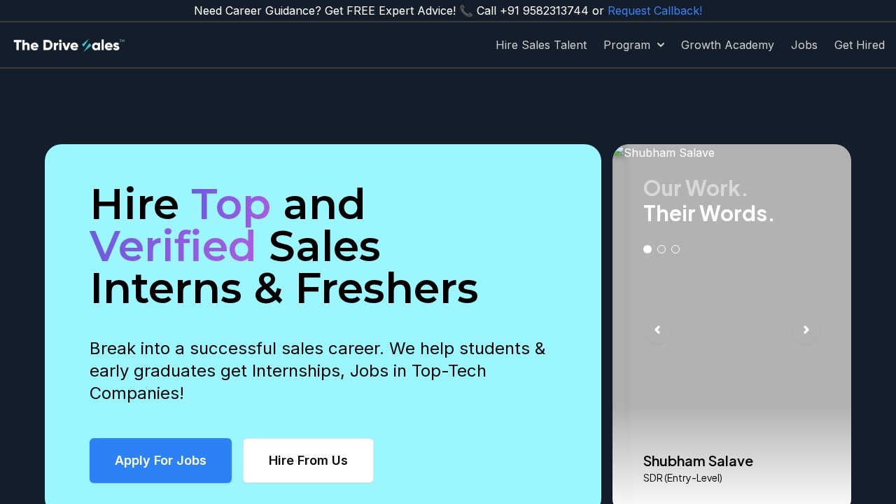 The Drivesales screenshot