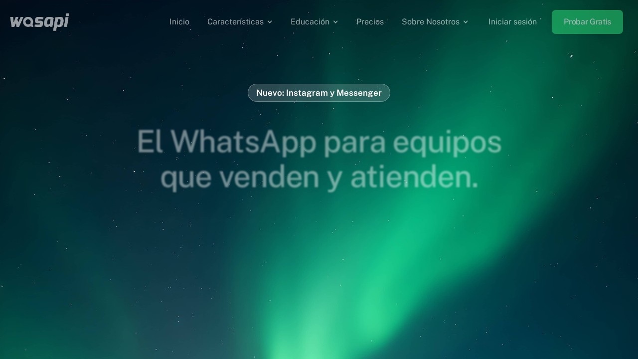 Wasapi Io screenshot